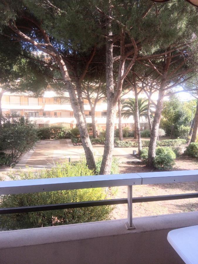 Frejus Plage, Appartement Entier , Piscine,Parking,Plage A 200M Ngoại thất bức ảnh