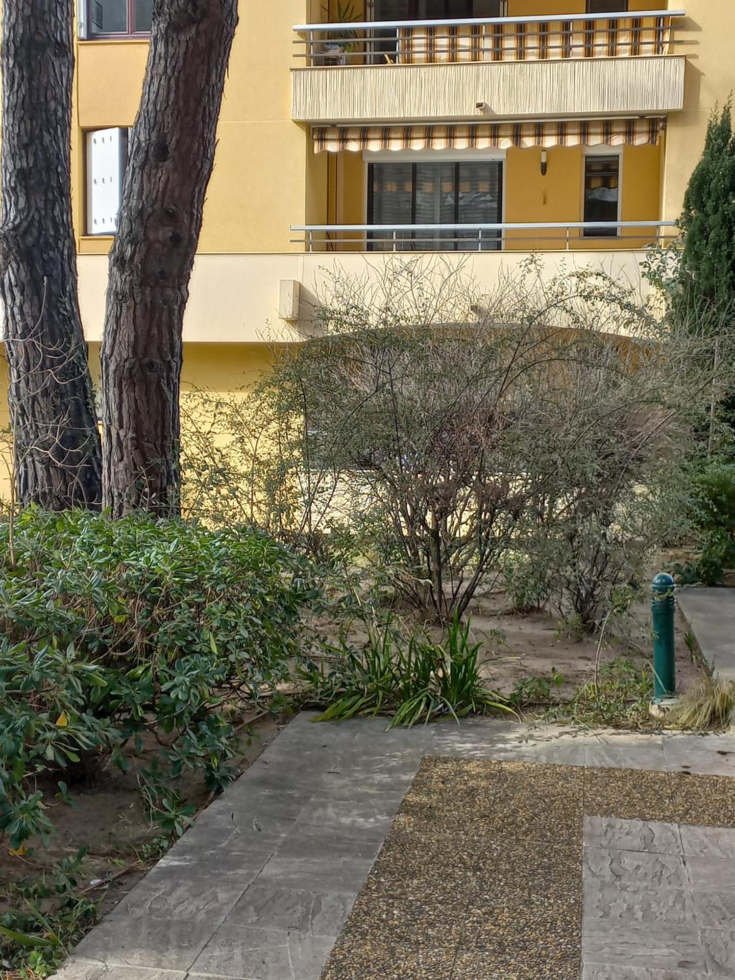 Frejus Plage, Appartement Entier , Piscine,Parking,Plage A 200M Ngoại thất bức ảnh